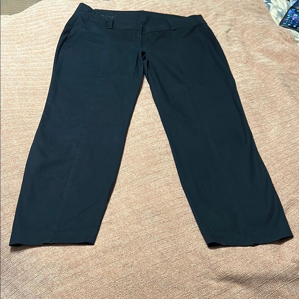 Ann Taylor Carnegie Blue Pants